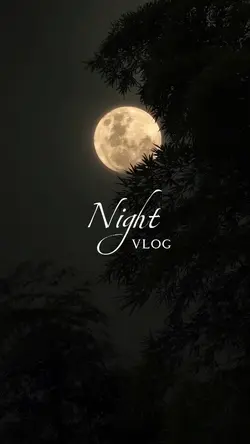 Night Vlog 