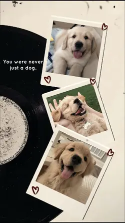 good bye my dog