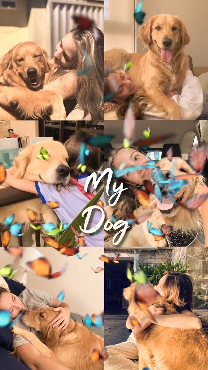 我爱我的狗 