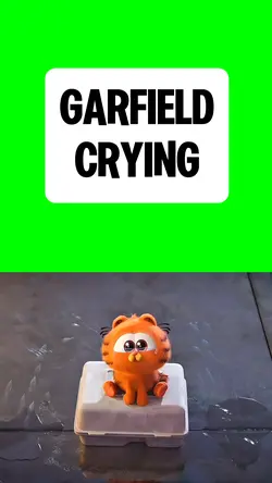 GARFIELD CRYIN