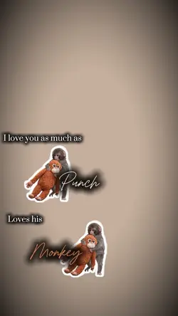 🐵💕