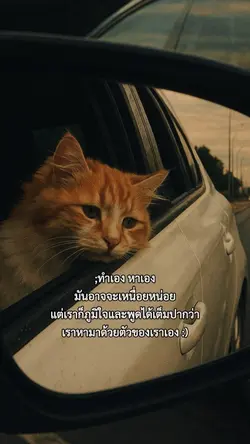 ทำเองหาเอง