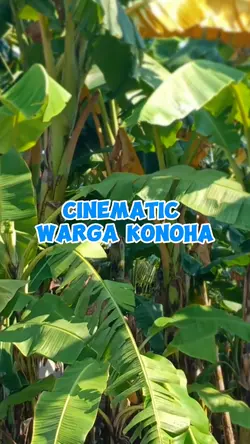 Warga Konoha