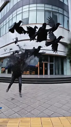 Edit chuyển cảnh 