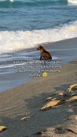 magulang ko lang pls