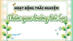 HD trải nghiệm