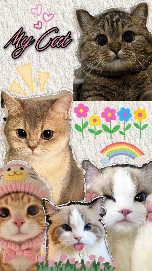 Gato fofo