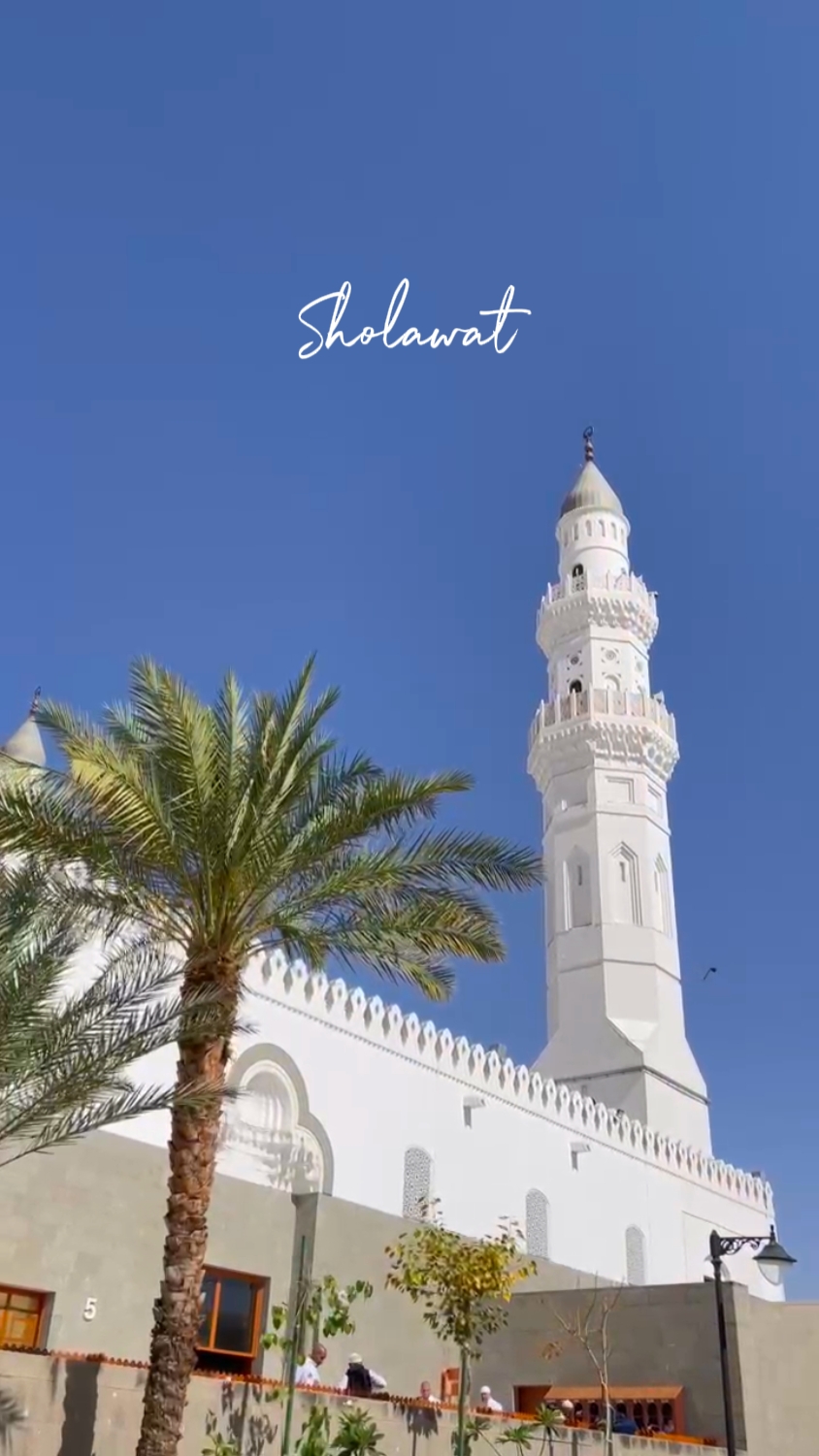 افرحوا النور أتانا