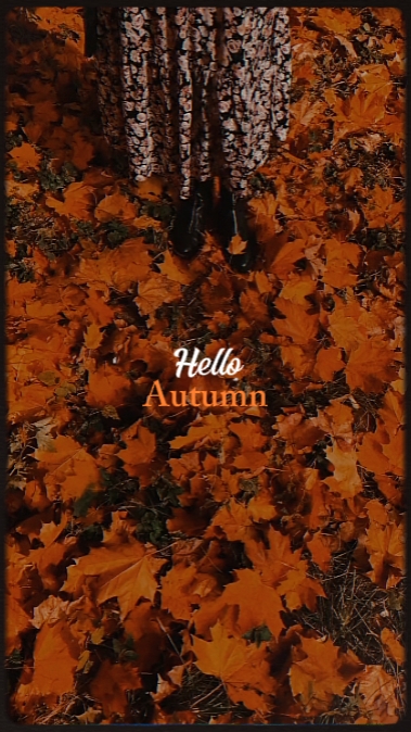 hello autumn
