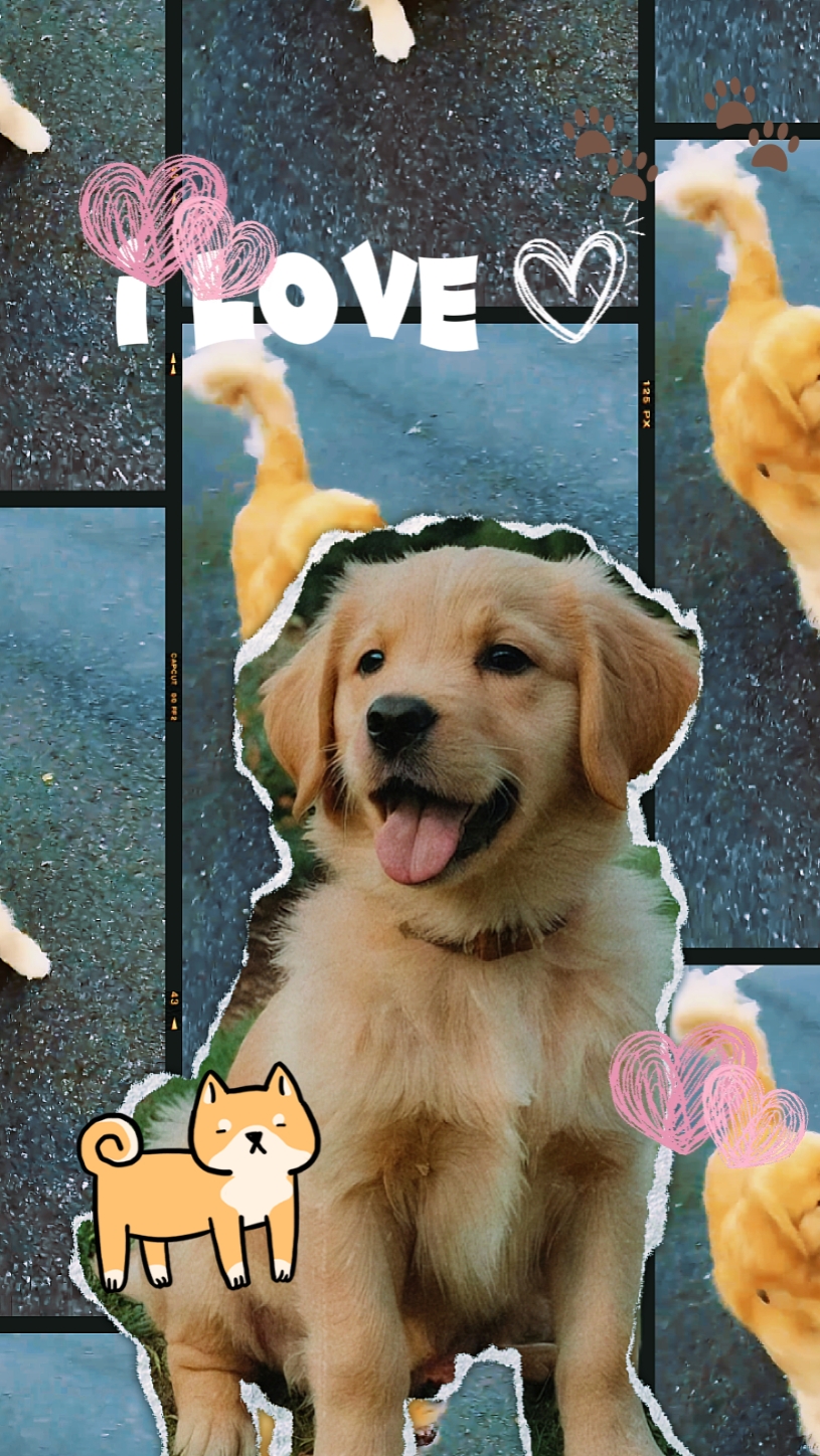 Pet Cutout cute