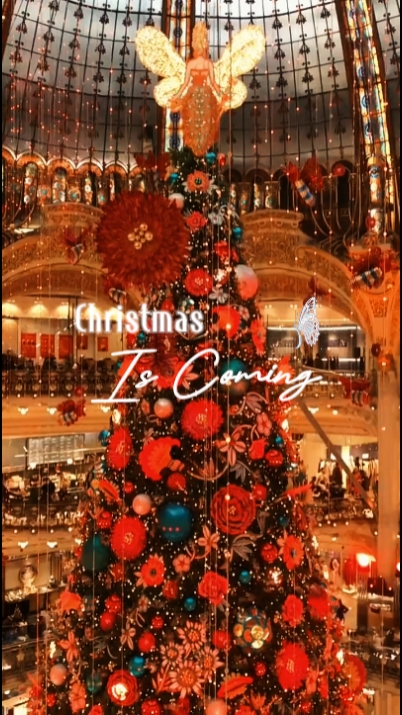 O Natal está chegando 