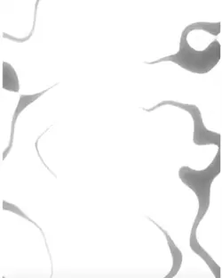 Free Overlays