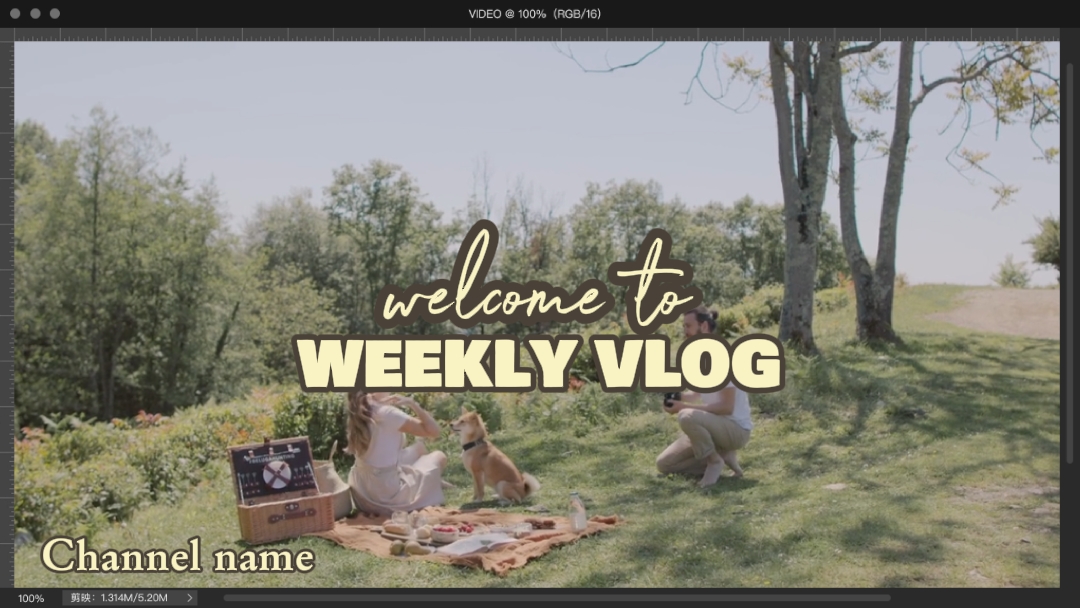 Daily Vlog Intro