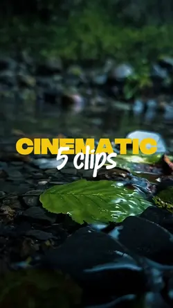 CINEMATIC 5 CLIPS