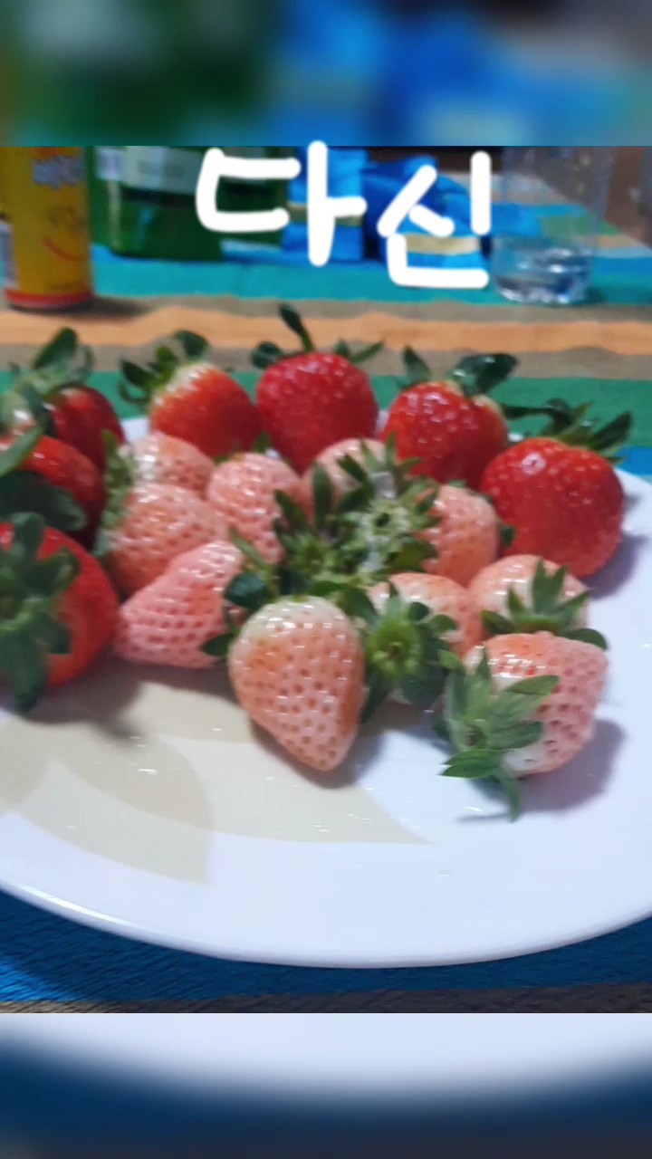 다신 오지못할 나의 2023