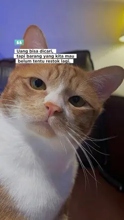 belanja terus