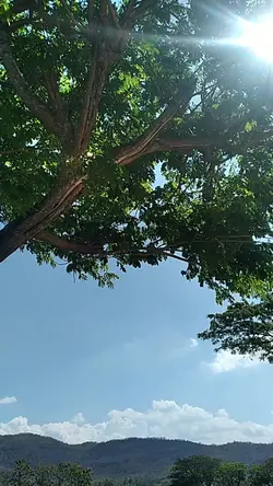 mentahan