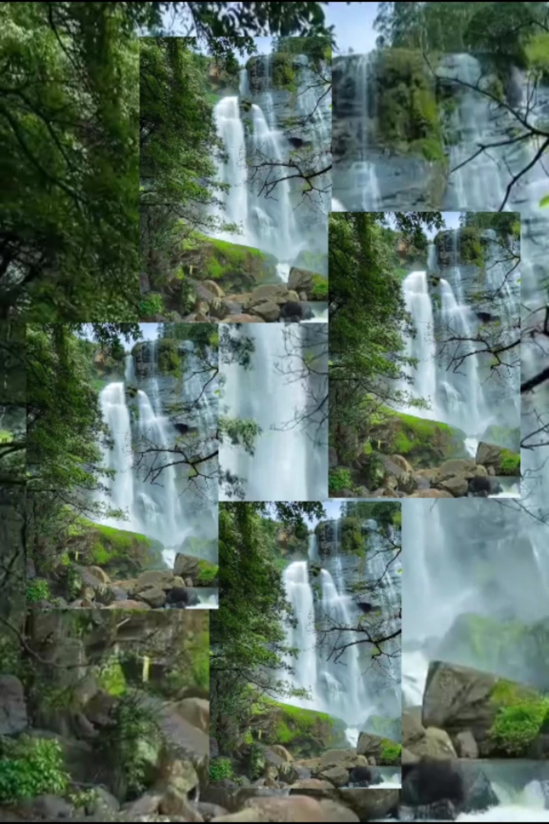 Video Nature Edit