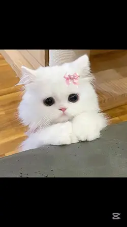 Aşk bahçemi süsleyen