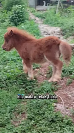 Man Rabbuka