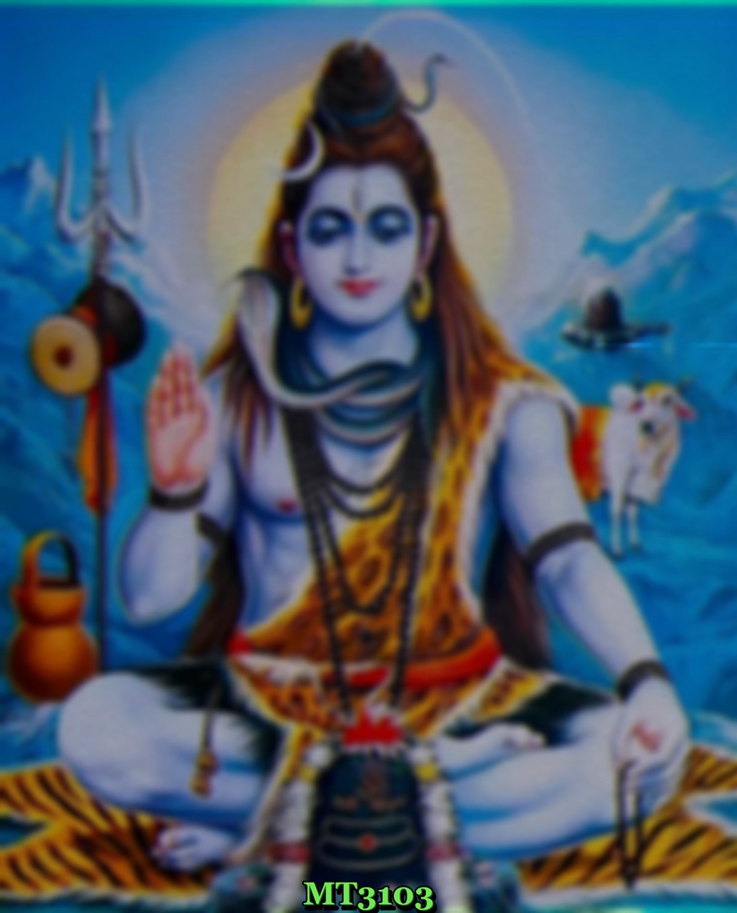 ஓம் நமசிவாய
