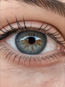 step 2 eye zoom tren