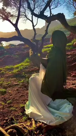 Mentahan Video