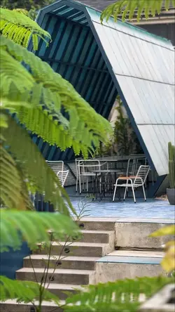 AESTHETIC
