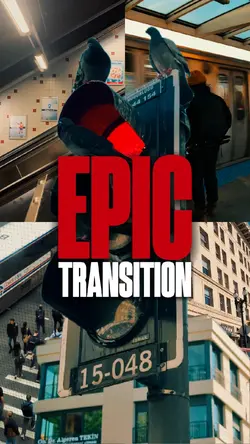 EPIC TRANSITION