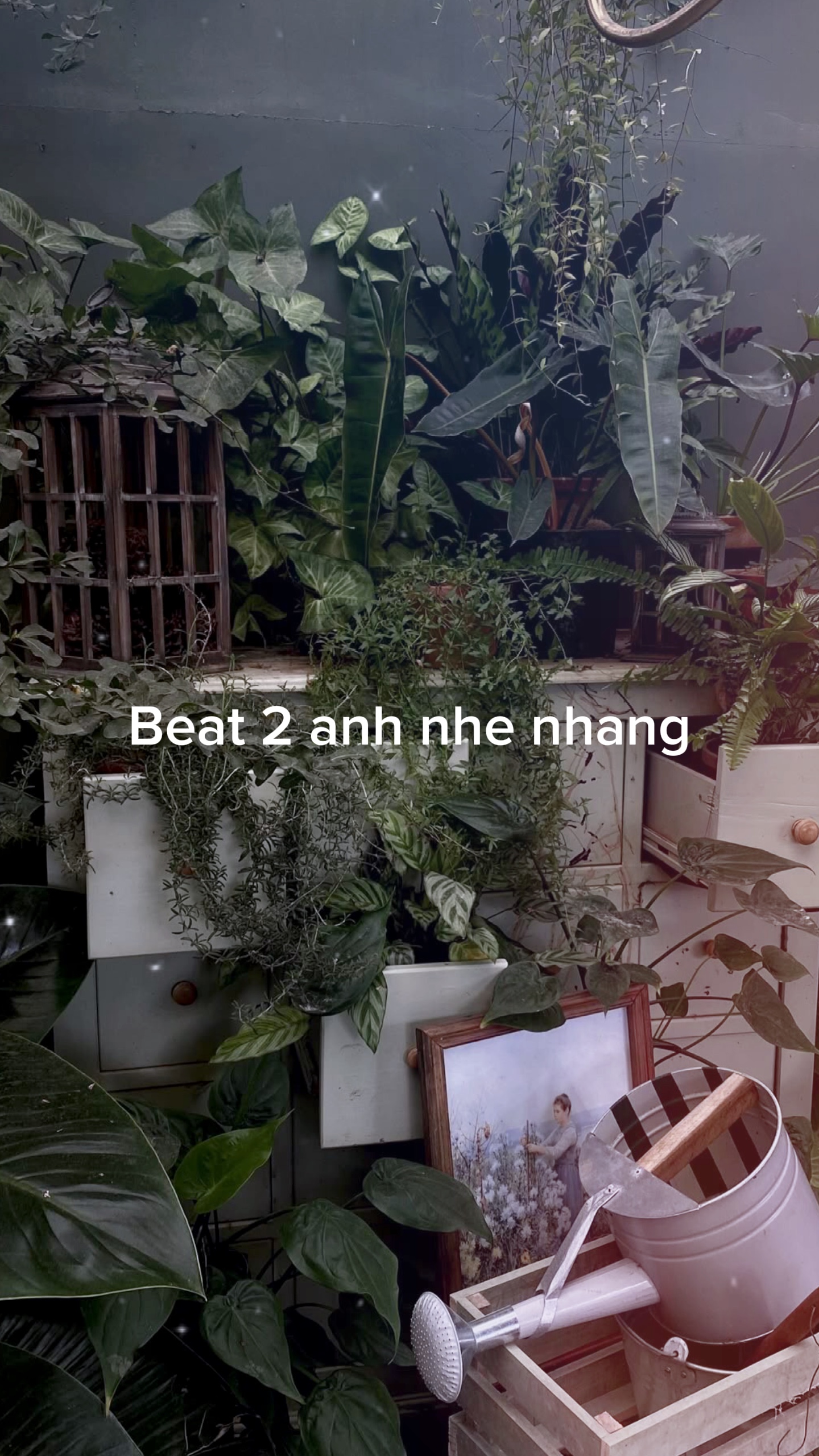 Ve nha em di anh