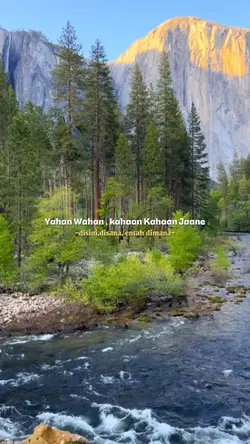 Bollywood songs