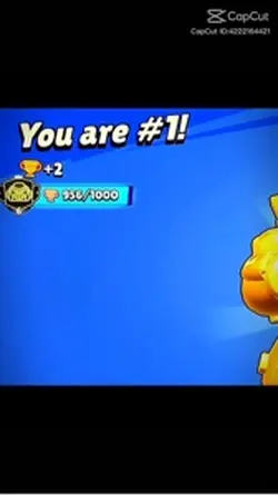 First Prestige 7