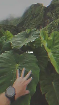 144p vs 4k
