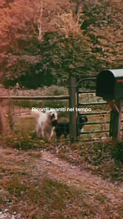 Modello di testo di ricordi sbiaditi