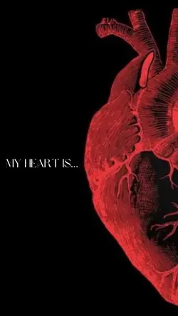 My Heart Is….
