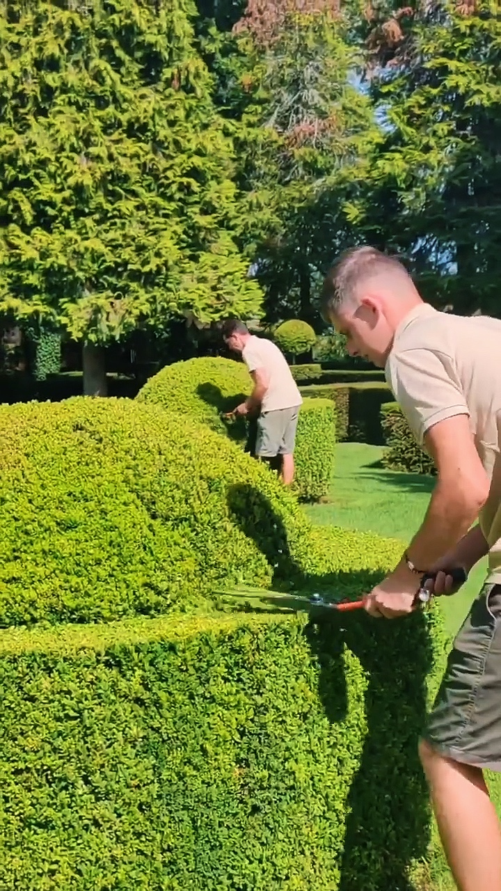 Berkebun