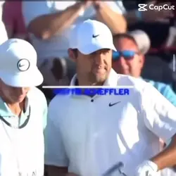 Tiger woods edit