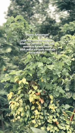 Seporsi Ketenangan