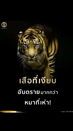 เสือที่เงียบอันตรายกว่าหมา