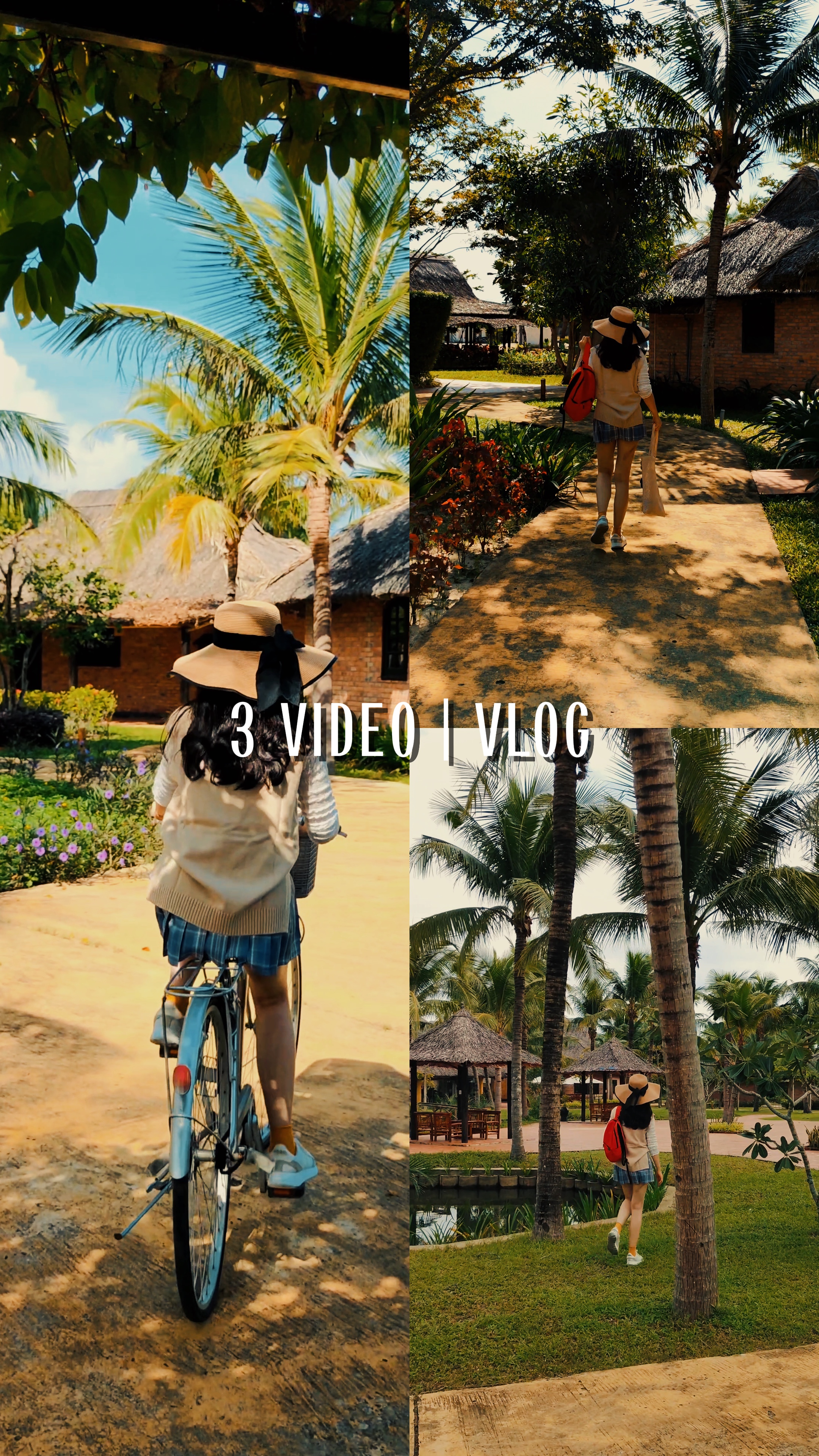 3 VIDEO | Vlog
