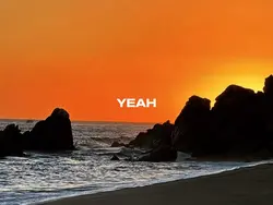 Where have you been