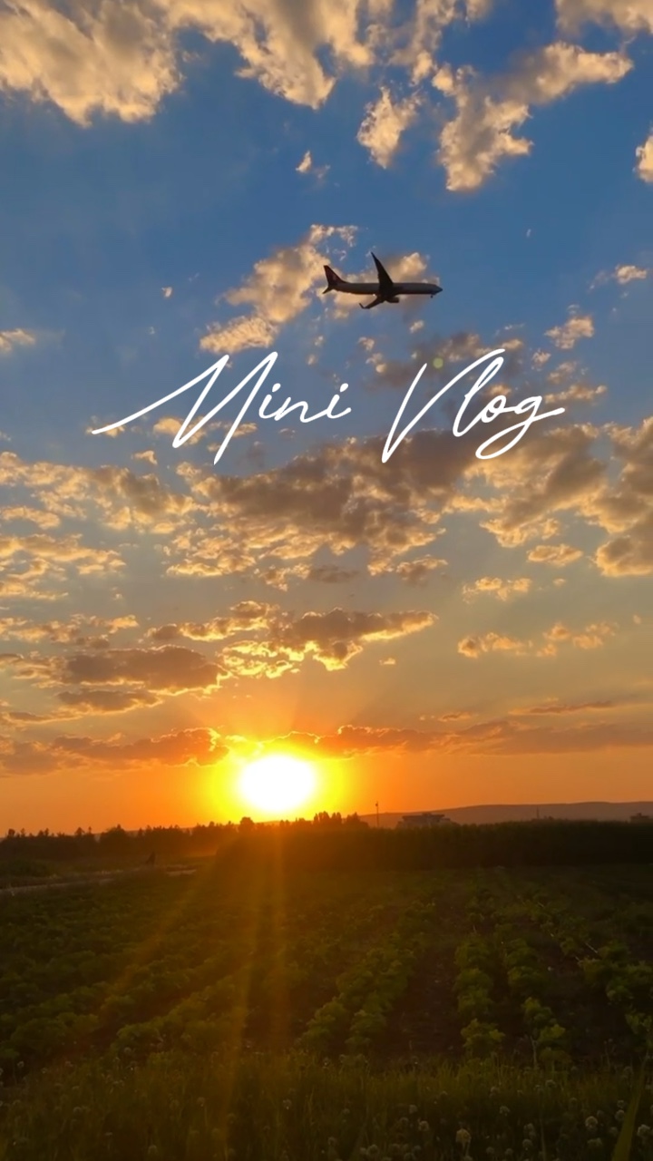 Mini vlog 6 vidéo 
