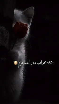 ستا خراب دا زانه خه 