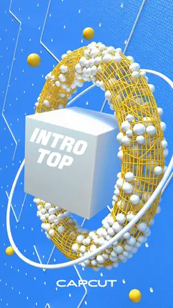 Intro Top