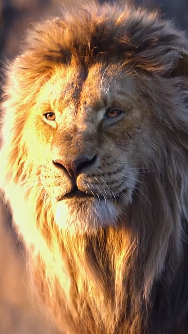 Aslan Düzenleme 