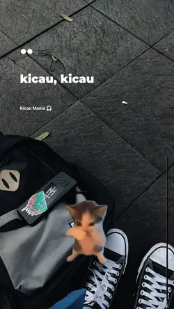 Kicau Mania Viral