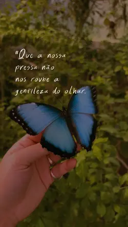 Sem pressa