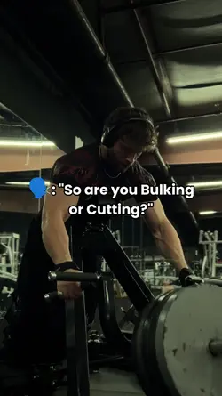 Bulking or Cutting?