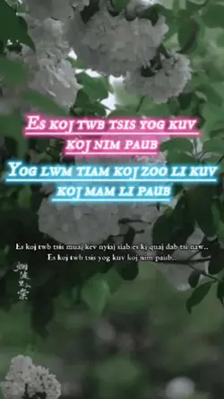 Yog lwm tiam koj zoo