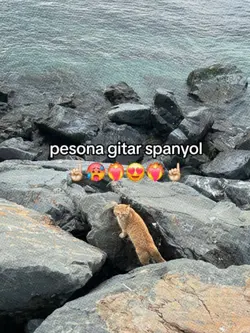 pesona gitar spanyol